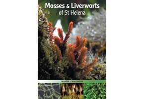 Mosses & Liverworts of St Helena