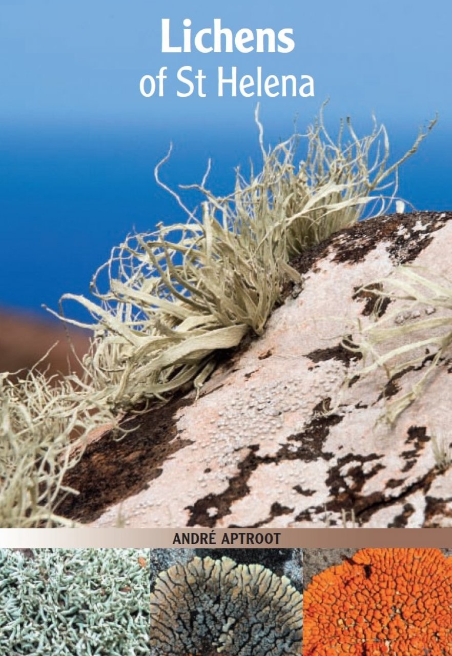 Lichens of St Helena