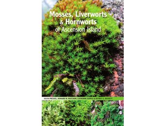 Mosses, Liverworts & Hornworts of Ascension Island