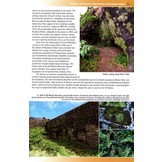 Mosses, Liverworts & Hornworts of Ascension Island