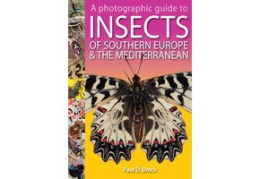 A Photographic Guide to Insects of Southern Europe & The Mediterranean
