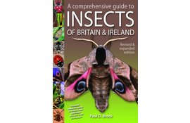 A Comprehensive Guide to Insects of Britain & Ireland