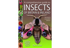 A Comprehensive Guide to Insects of Britain & Ireland