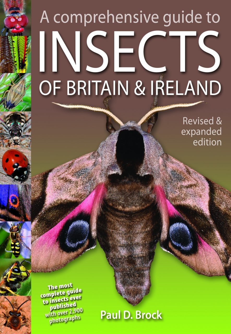 A Comprehensive Guide to Insects of Britain & Ireland