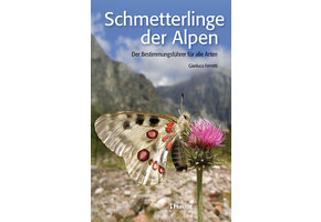 Schmetterlinge der Alpen