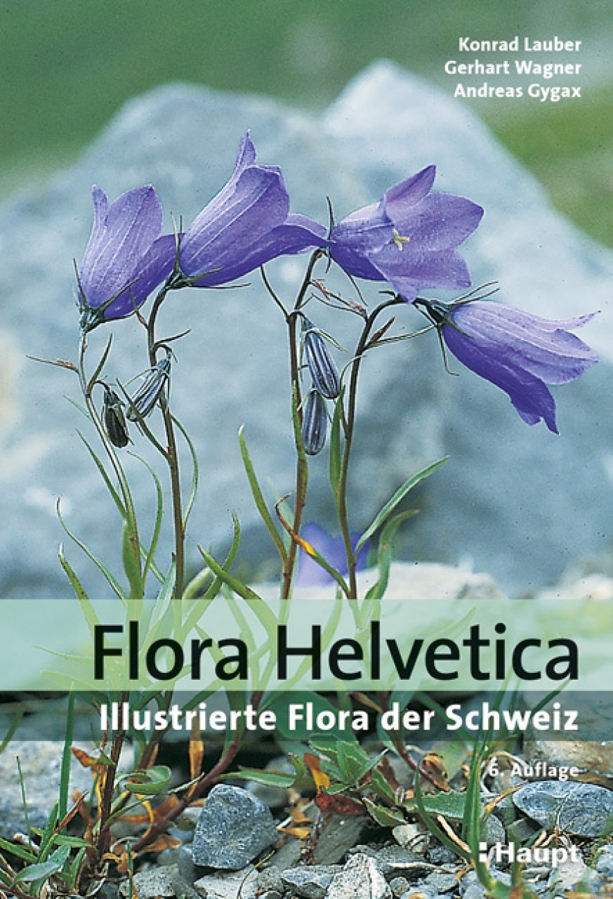 Flora Helvetica - Illustrierte Flora der Schweiz