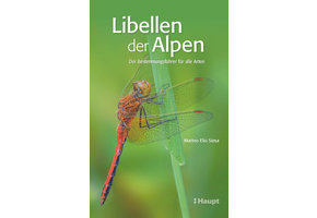 Libellen der Alpen