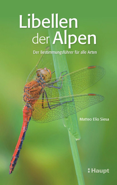 Libellen der Alpen - Der Bestimmungsführer für alle Arten