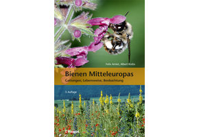 Bienen Mitteleuropas