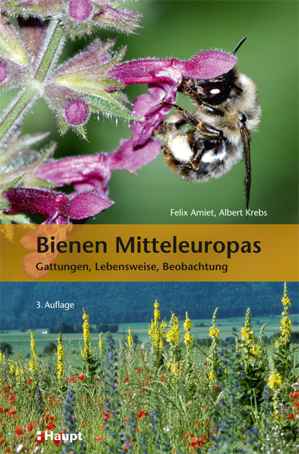 Bienen Mitteleuropas - Gattungen, Lebensweise, Beobachtung