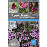 Alpenpflanzen einfach bestimmen - Schritt für Schritt Pflanzenarten der Alpen kennenlernen