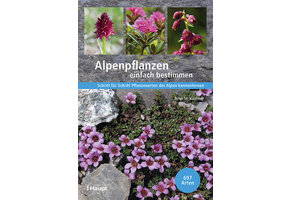 Alpenpflanzen einfach bestimmen