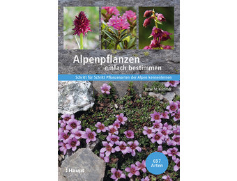Alpenpflanzen einfach bestimmen