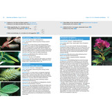 Alpenpflanzen einfach bestimmen - Schritt für Schritt Pflanzenarten der Alpen kennenlernen