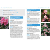 Alpenpflanzen einfach bestimmen - Schritt für Schritt Pflanzenarten der Alpen kennenlernen