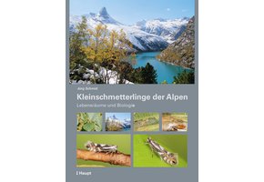Kleinschmetterlinge der Alpen