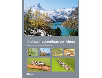 Kleinschmetterlinge der Alpen