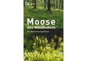 Moose des Waldbodens