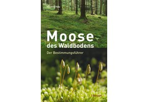 Moose des Waldbodens