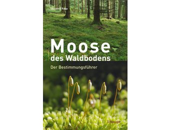 Moose des Waldbodens