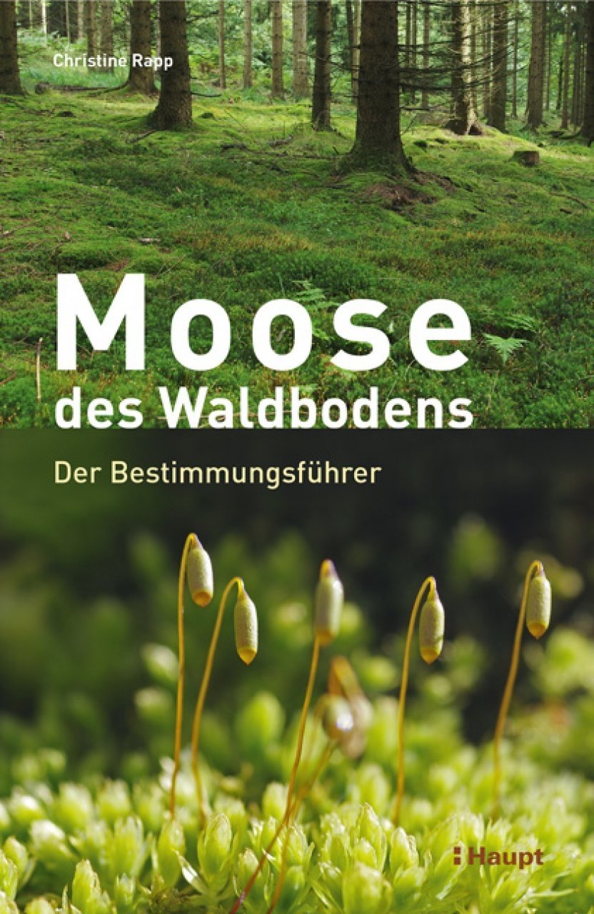 Moose des Waldbodens - Der Bestimmungsführer