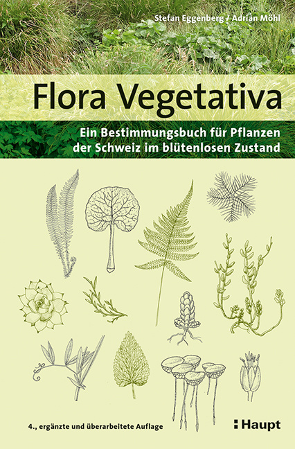 Flora Vegetativa - Ein Bestimmungsbuch für Pflanzen der Schweiz im blütenlosen Zustand