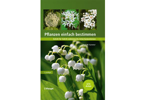 Pflanzen einfach bestimmen