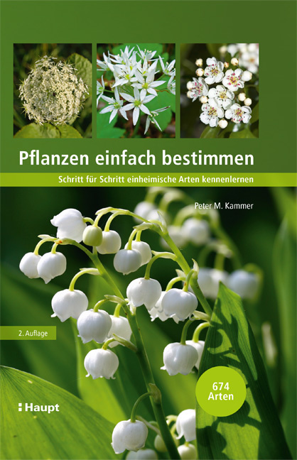 Pflanzen einfach bestimmen - Schritt für Schritt einheimische Arten kennenlernen
