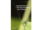 Jugendstadien der Heuschrecken der Schweiz