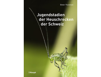Jugendstadien der Heuschrecken der Schweiz