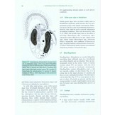 Freshwater Algae - Identification, Enumeration and Use as Bioindicators