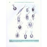 Freshwater Algae - Identification, Enumeration and Use as Bioindicators