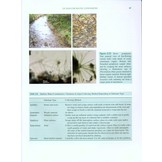 Freshwater Algae - Identification, Enumeration and Use as Bioindicators