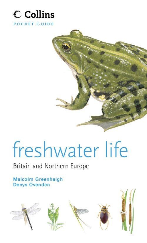 Freshwater Life of Britain and Northern Europe