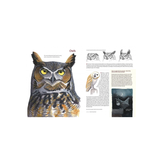 What It's Like to Be a Bird - From Flying to Nesting, Eating to Singing - What Birds are Doing, and Why?