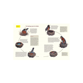 What It's Like to Be a Bird - From Flying to Nesting, Eating to Singing - What Birds are Doing, and Why?