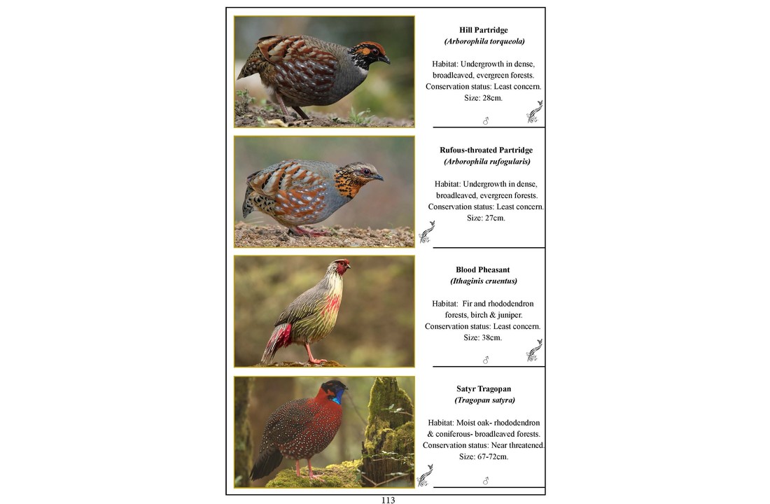 A Pictorial Field Guide to Birds and Butterflies of Bhutan