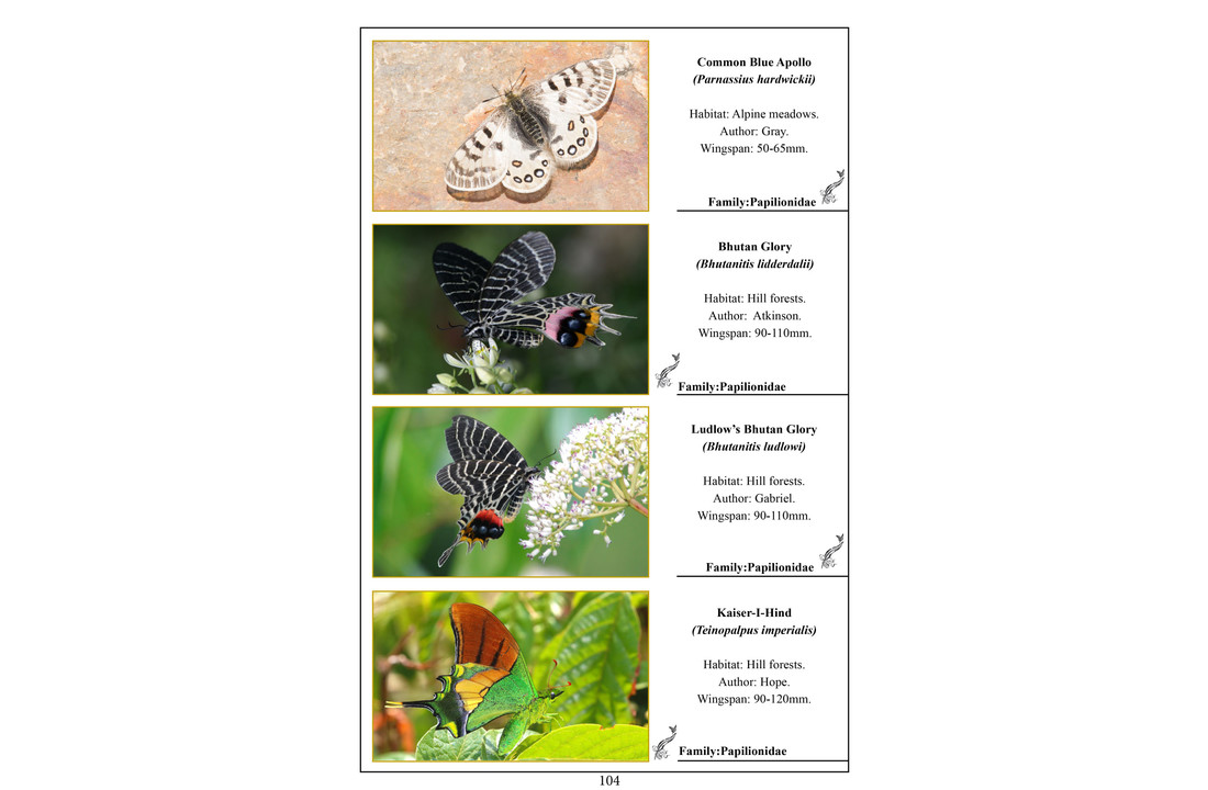 A Pictorial Field Guide to Birds and Butterflies of Bhutan