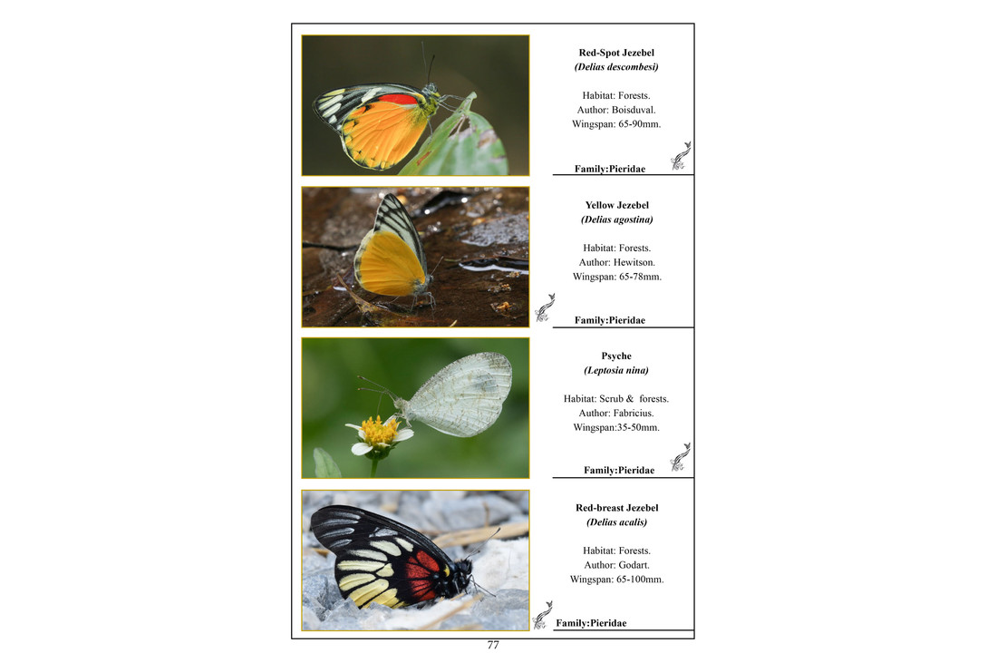 A Pictorial Field Guide to Birds and Butterflies of Bhutan