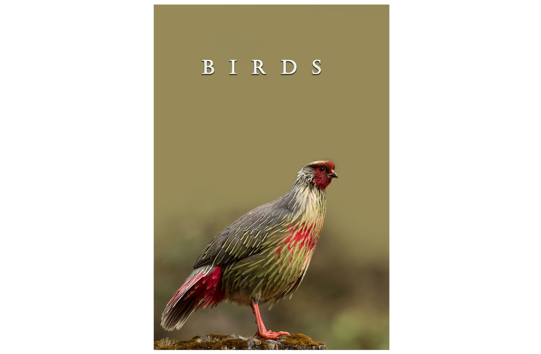 A Pictorial Field Guide to Birds and Butterflies of Bhutan