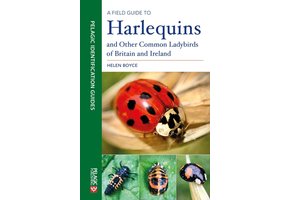 A Field Guide to Harlequins and Other Common Ladybirds of Britain and Ireland