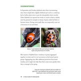 A Field Guide to Harlequins and Other Common Ladybirds of Britain and Ireland