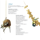 Hoe maakt u van uw tuin of balkon een vogelparadijs en waarom?