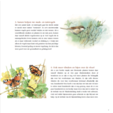 Hoe maakt u van uw tuin of balkon een vogelparadijs en waarom?