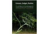Grasses, Sedges, Rushes