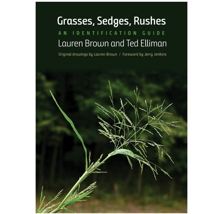 Grasses, Sedges, Rushes - An Identification Guide