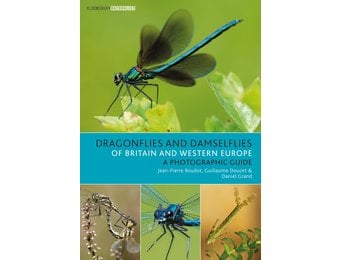 Dragonflies and Damselflies of Britain and Western Europe