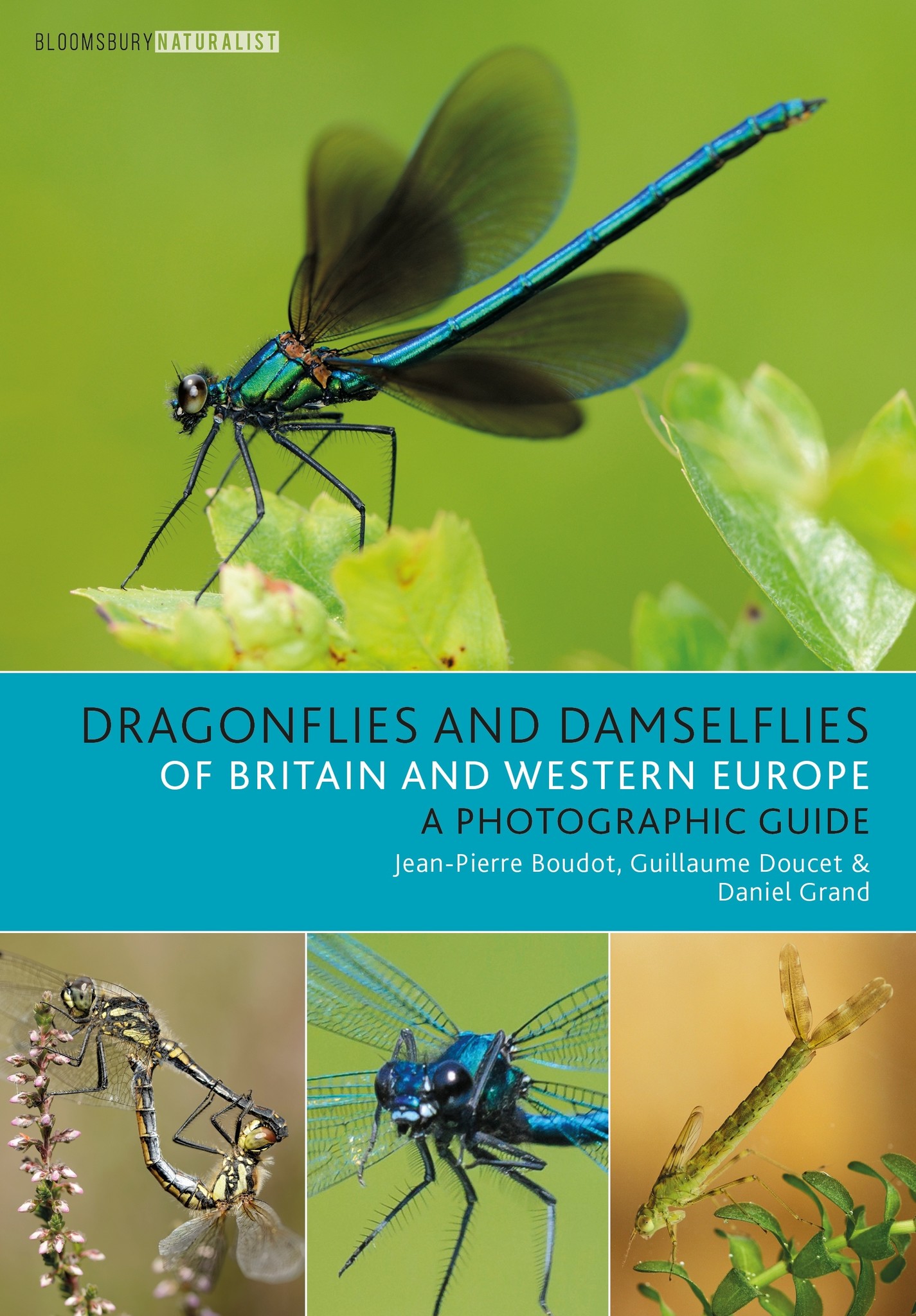 Dragonflies and Damselflies of Britain and Western Europe - A Photographic Guide