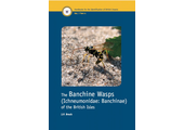 The Banchine Wasps (Ichneumonidae: Banchinae) of the British Isles