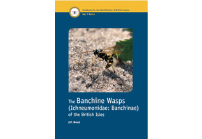 The Banchine Wasps (Ichneumonidae: Banchinae) of the British Isles